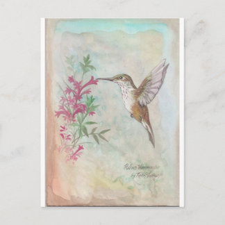 Rufous Hummingbird Postcard