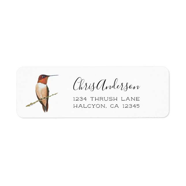 Rufous Hummingbird Return Address Label (Front)
