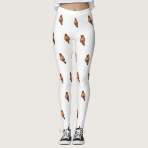 Rufous Hummingbird (Selasphorus rufus) Leggings