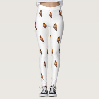 Rufous Hummingbird (Selasphorus rufus) Leggings