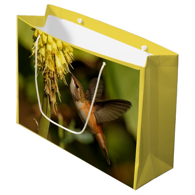 Rufous Hummingbird Sipping Kniphofia Nectar Large Gift Bag (Front Angled)