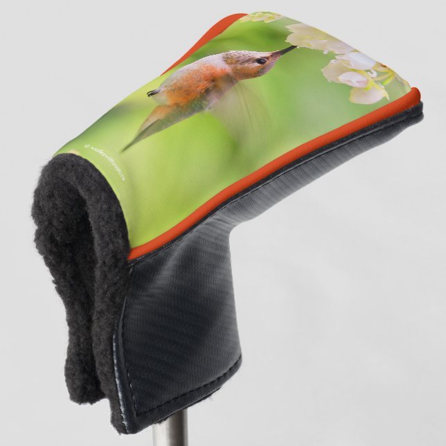 Rufous Hummingbird Sips Blueberry Blossom Nectar Golf Head Cover (3/4 Front)
