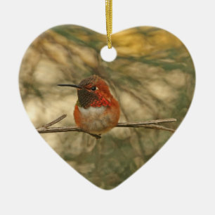 Rufous Hummingbird Sitting Ceramic Ornament