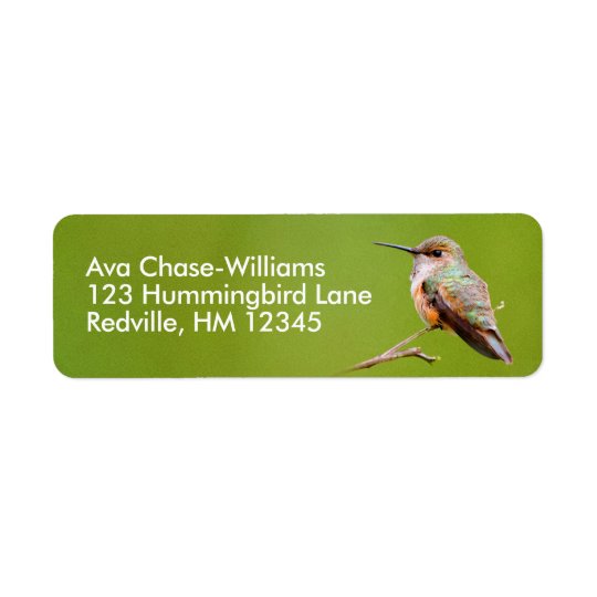 Rufous Hummingbird Sitting in the California Lilac Return Address Label