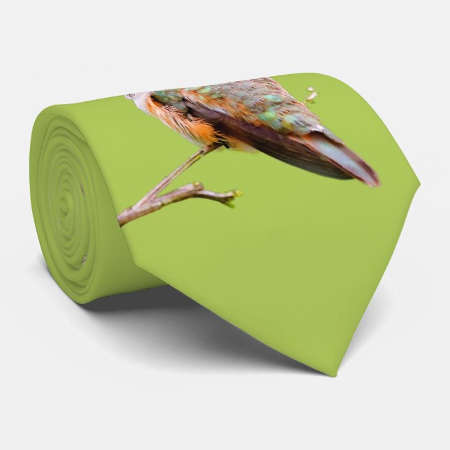 Rufous Hummingbird Sitting in the California Lilac Tie (Rolled)
