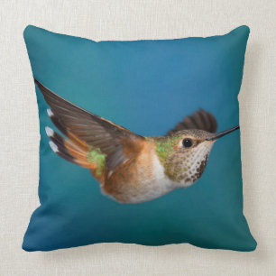 Rufous Hummingbird Throw Pillow