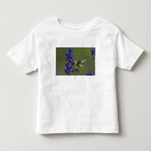 Rufous Hummingbird Toddler T-shirt