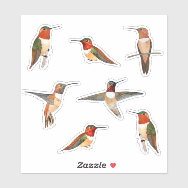 Rufous Hummingbirds (Sheet)