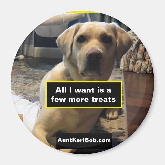 Ruger few more treats magnet (Front)