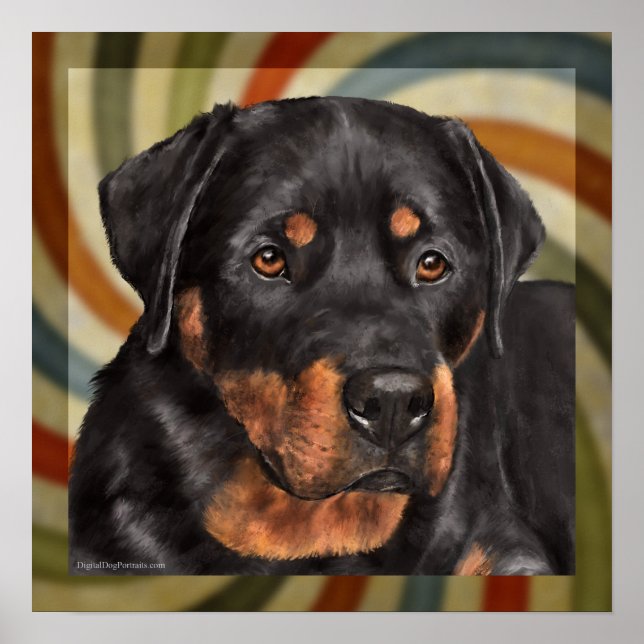 ruger poster (Front)