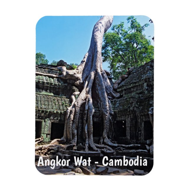 Ruin of Ta Prohm - Angkor Wat, Cambodia, Asia Magnet (Vertical)