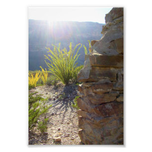 Ruined adobe house, Big Bend National Park, Texas Photo Print