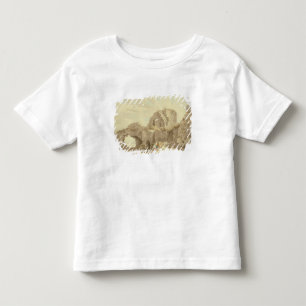 Ruins of Pevensey Castle (w/c on paper) Toddler T-shirt