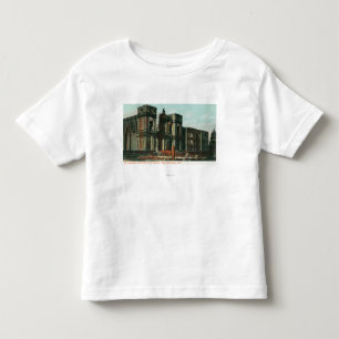 Ruins of St. Ignatius Cathedral and School Toddler T-shirt