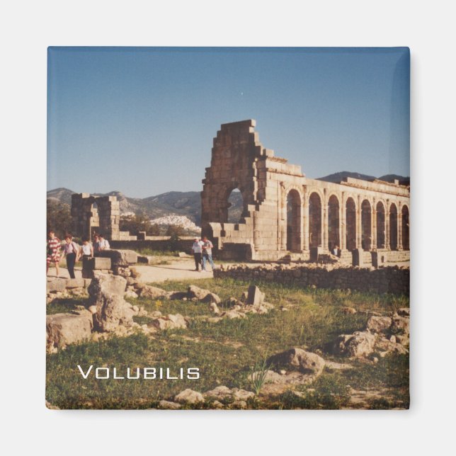 Ruins of Volubilis Magnet (Front)