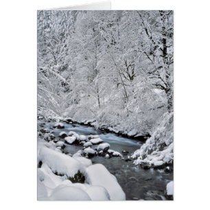 Ruisseau blanc enneigé pittoresque, Oregon