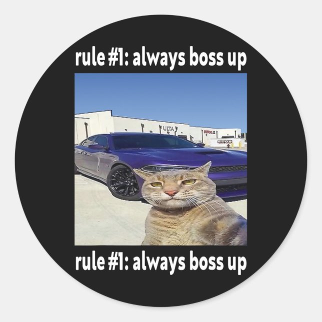 Rule # 1 Always Boss Up Funny Cat Meme  Classic Round Sticker (Front)