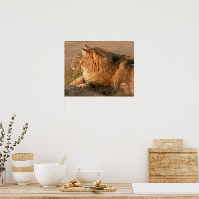 Rum Tum Tiggle Poster (Kitchen)