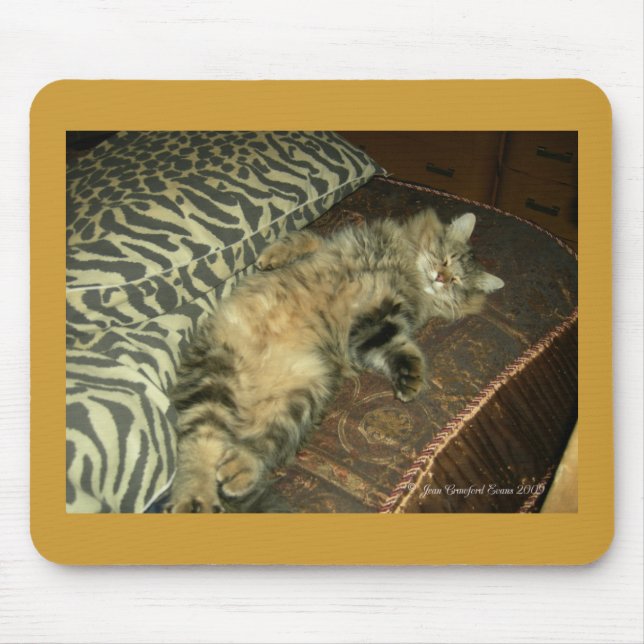 Rum Tum tummy Mouse Pad (Front)