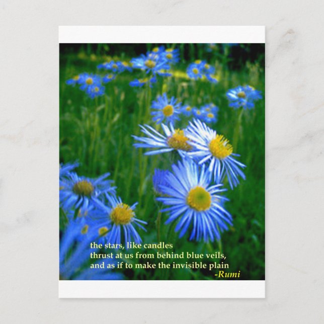 Rumi-Blue Postcard (Front)
