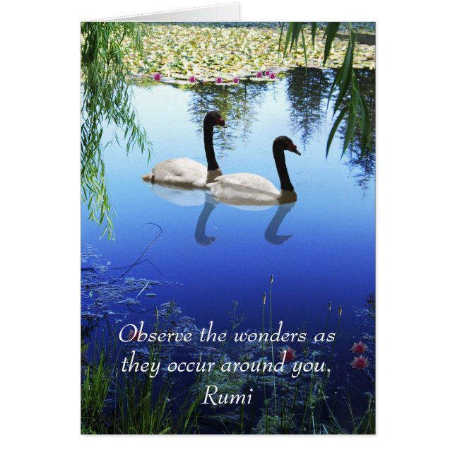 Rumi Les merveilles (Devant)