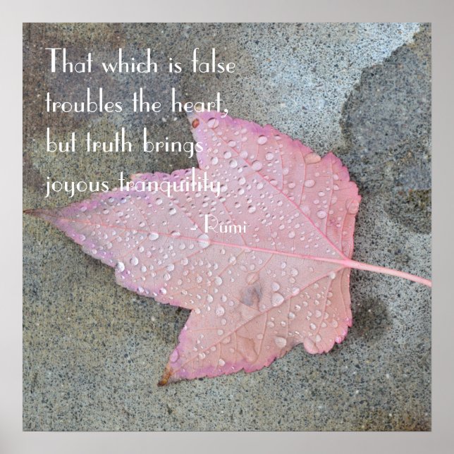 Rumi Quote Pink Leaf Poster (Front)