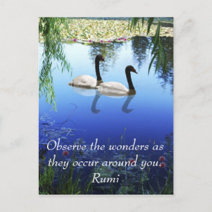 Rumi The wonders Postcard