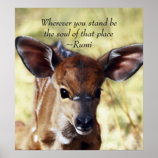 Rumi Wherever you stand Poster (Front)