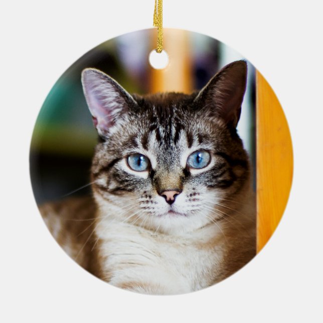 Rummy Full of Flies Siamese Cat Ornament (Back)