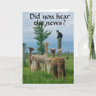 RUMOR IS THAT **40th BIRTHDAY** NOT SO BAD Card