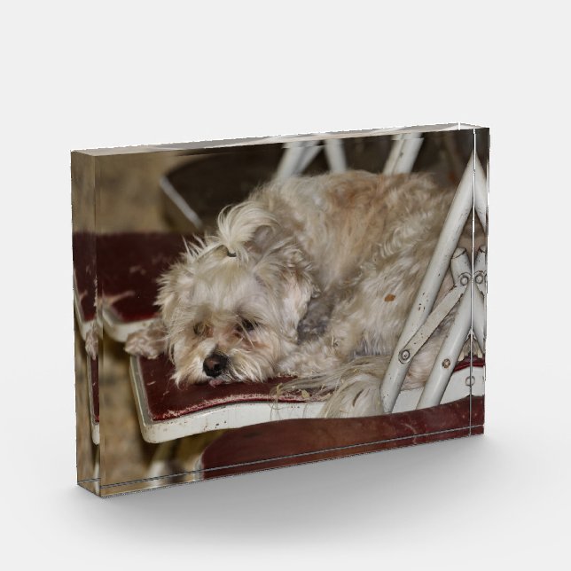 Rumple Photo Block (Left)