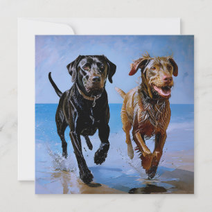 "Run Free, Run Together" Beachside Best Buddies