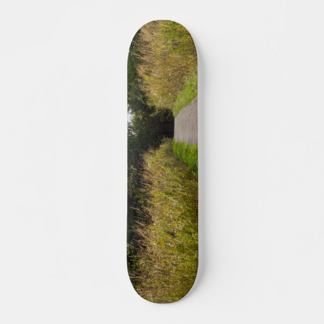 Runge Walkway Skateboard (Front)