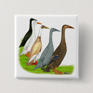 Runner Duck Assortment 2 Inch Square Button