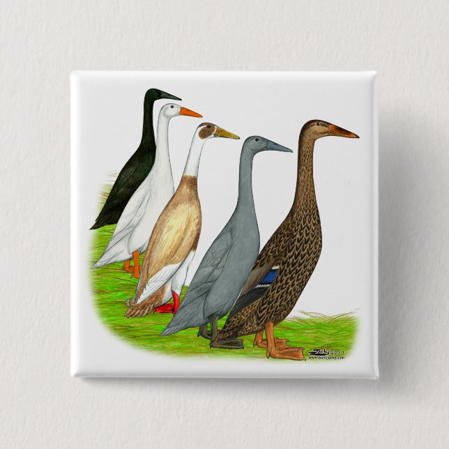 Runner Duck Assortment 2 Inch Square Button (Front)