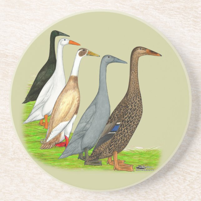 Runner Duck Assortment Coaster (Front)