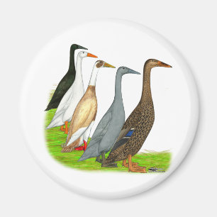 Runner Duck Assortment Magnet