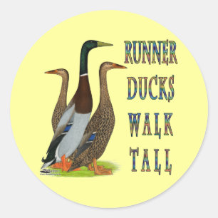 Runner Ducks Walk Tall Classic Round Sticker