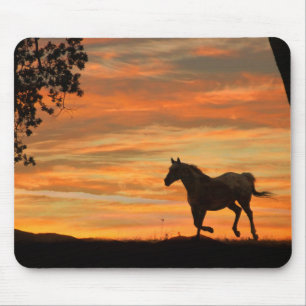 Running Appaloosa Horse Mouse Pad