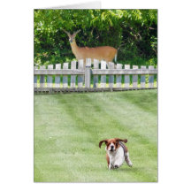 Running Basset & Deer Neighbour On Blank Card