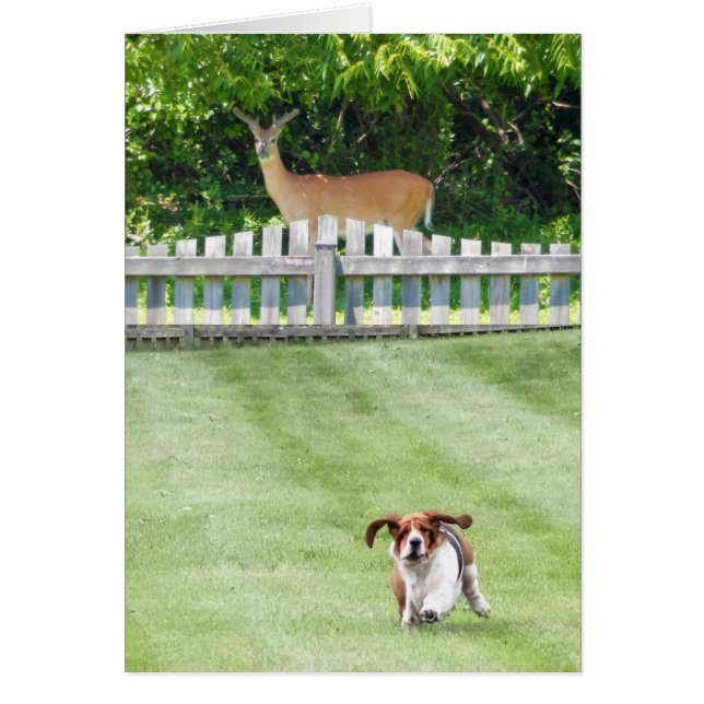 Running Basset & Deer Neighbour On Blank Card (Front)