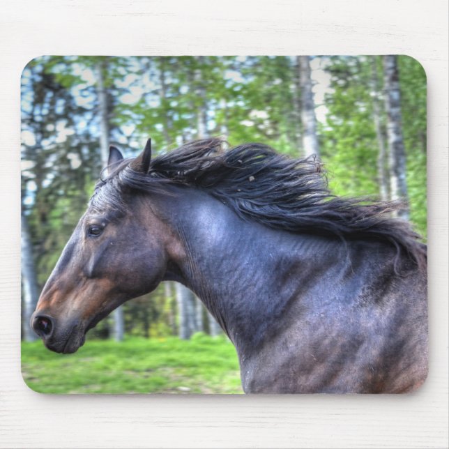 Running Black Thoroughbred Percheron Horse Photo Mouse Pad (Front)
