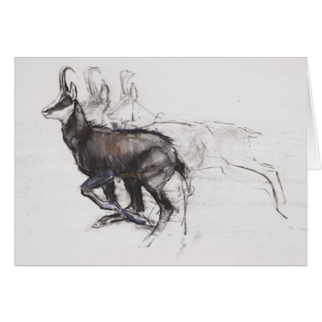 Running Chamois (Front Horizontal)