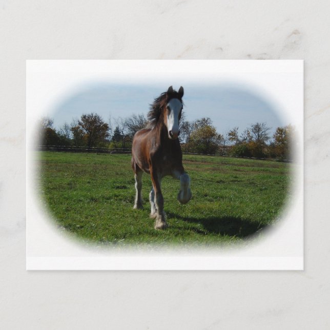 Running Clydesdale Postcard (Front)