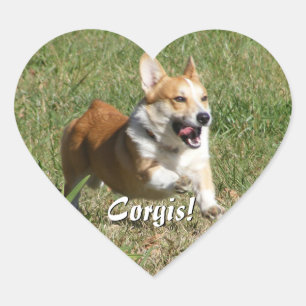 Running Corgi Stickers