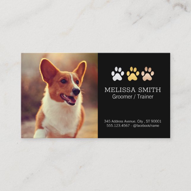 Running Dog | Dog Trainer and Groomer Appt Appointment Card (Front)