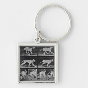 Running Dog, plate 707 from 'Animal Locomotion', 1 Keychain