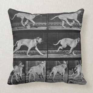 Running Dog, plate 707 from 'Animal Locomotion', 1 Throw Pillow