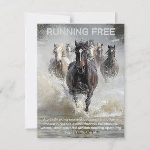 Running Free  Postcard