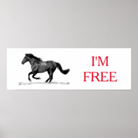 Running Horse Black White I'm Free Freedom